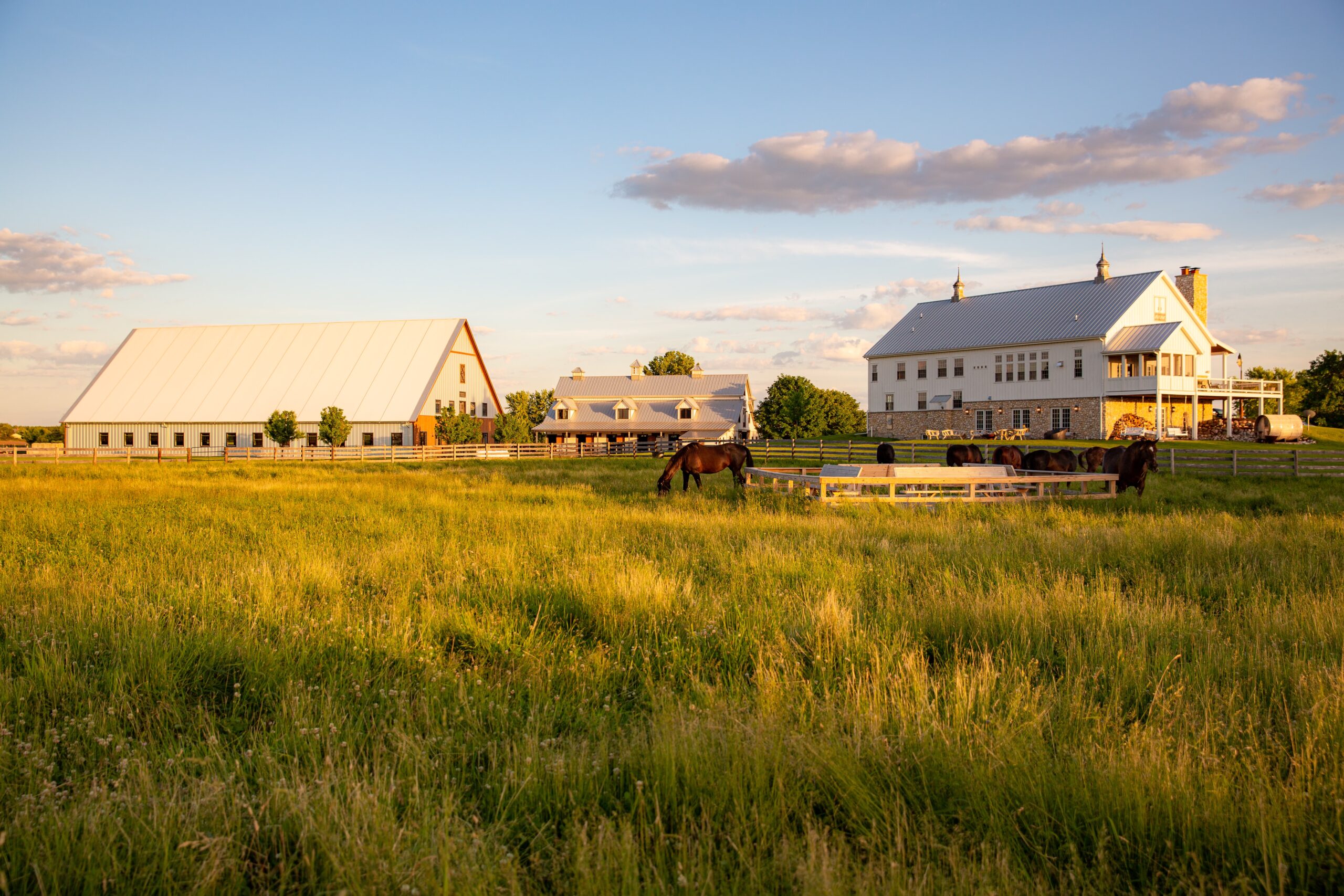 Soulful-Prairies-06-09-2022-443